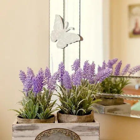 Nissi Pool View Free Wifi * Ayia Napa