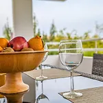 Nissi Pool View Free Wifi Ayia Napa