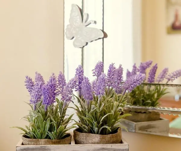 Nissi Pool View Free Wifi * Aya Napa